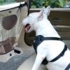 Pet car fence car rear seat screen anti-dog harassment explosion safety barrier