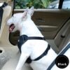 Pet car fence car rear seat screen anti-dog harassment explosion safety barrier