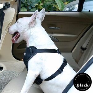 Pet car fence car rear seat screen anti-dog harassment explosion safety barrier