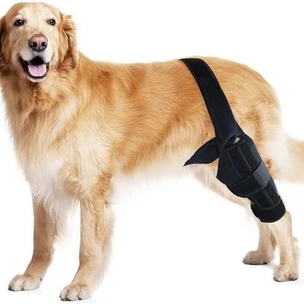 545236b5-ea6e-44e6-817b-29eb6e4b7a6a.jpg Pet Protective Gear Dog Leg Injury Assistance Support Bar Rehabilitation Training Belt