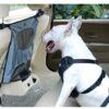 Pet car fence car rear seat screen anti-dog harassment explosion safety barrier