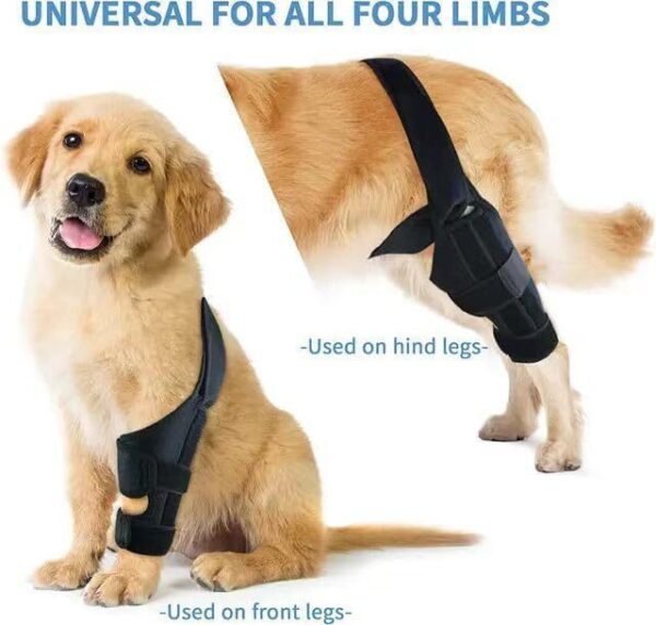 7a64bc66-0bf3-4c9b-adad-92f40cf11f3b.jpg Pet Protective Gear Dog Leg Injury Assistance Support Bar Rehabilitation Training Belt