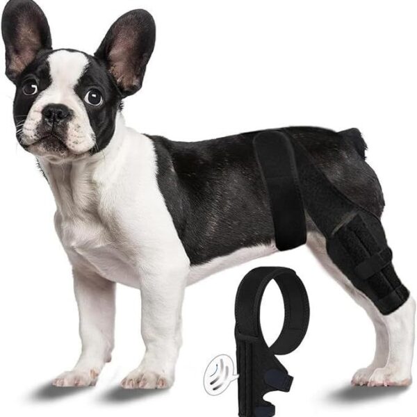 8423aa0e-18c4-4204-9072-1175f97a51ca.jpg Pet Protective Gear Dog Leg Injury Assistance Support Bar Rehabilitation Training Belt