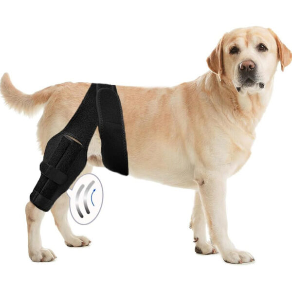a74398ff-566b-46d3-a540-db8b5774b97b.jpg Pet Protective Gear Dog Leg Injury Assistance Support Bar Rehabilitation Training Belt
