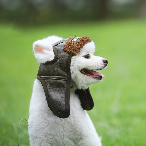 04ca4c84-8b4d-41a3-9c4e-4545a35346ec.jpg Pet Supplies Autumn Winter New Pet Dog