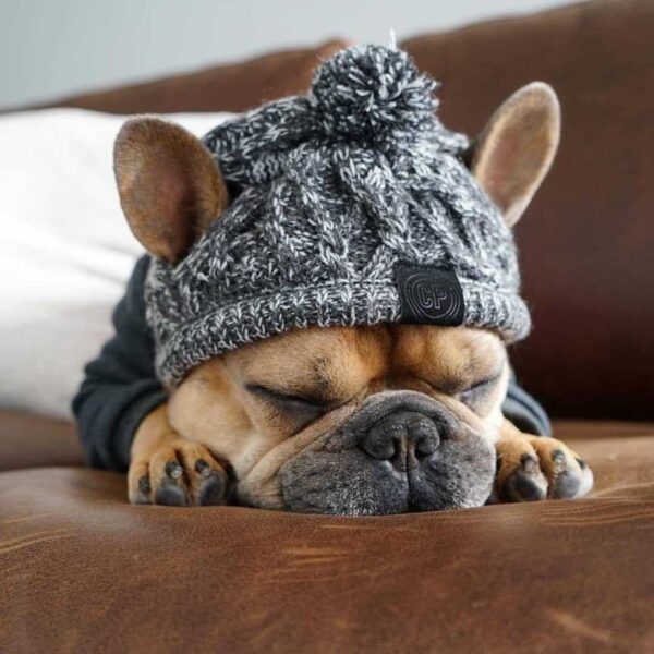1326100554120.jpg Winter Fashion Dog Hat Windproof Fluffy Knitted Polar Pom Hat