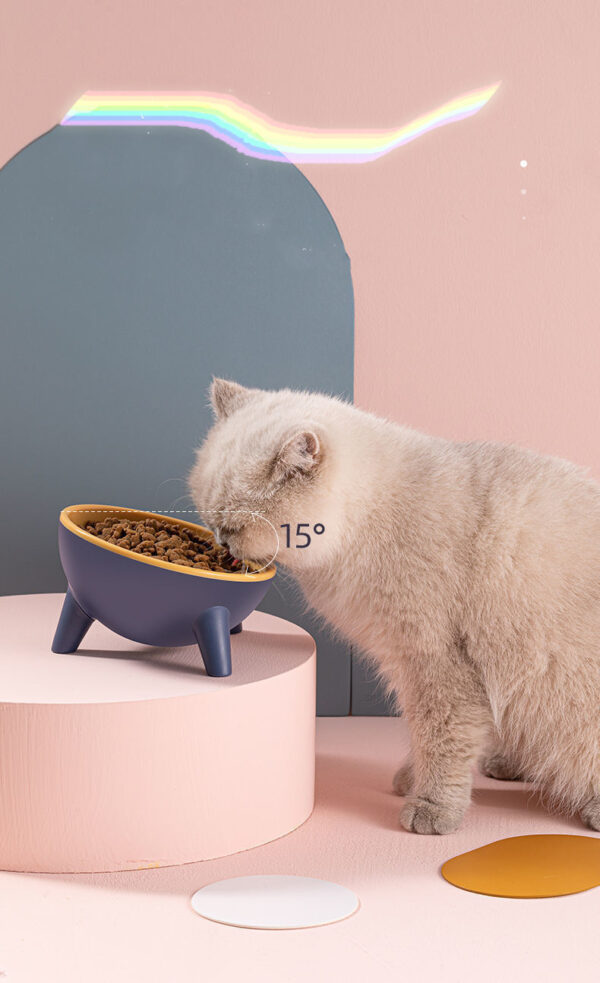 1620903329867.jpg Cat Dog Bowl With Stand Pet Feeding Food Bowls Dogs Bunny Rabbit Nordic Color Feeder Product Supplies Pet Accessories