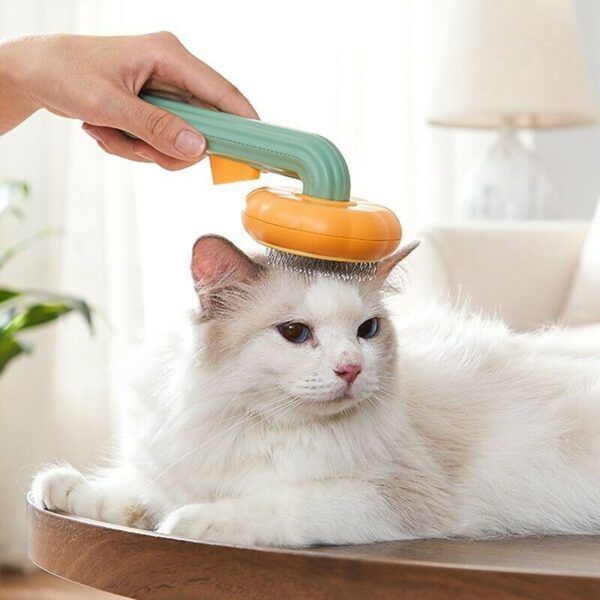 1823973243120521216.jpg Pet Pumpkin Brush, Pet Grooming Self Cleaning Slicker Brush For Dogs Cats Puppy Rabbit, Cat Brush Grooming Gently Removes Loose Undercoat