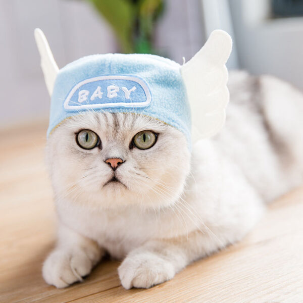 2759d76b-7897-476e-bb35-1c47809a0e98.jpg Tang Suit Cat Dress Up Accessories Dog