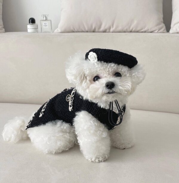 40cb360d-74cf-4677-b643-bfece5d5c456.jpg Pet Dog Cat Accessories Knitted Hat