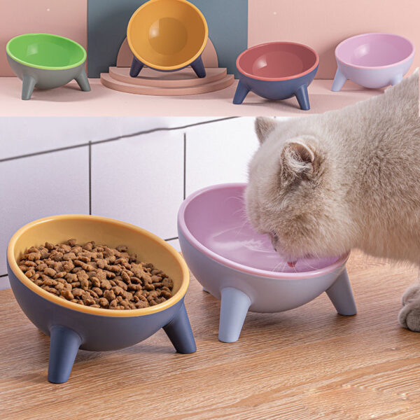518791b6-c3bf-457c-9804-d7c2bd495d82.jpg Cat Dog Bowl With Stand Pet Feeding Food Bowls Dogs Bunny Rabbit Nordic Color Feeder Product Supplies Pet Accessories