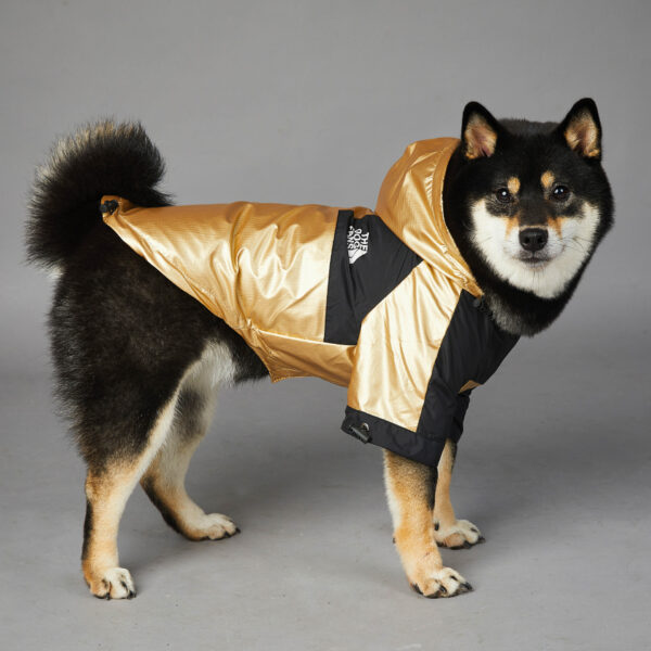 6ee5925f-1258-4043-89b0-8b7499eea243.jpg Dog Large Dog Raincoat Pet Jacket