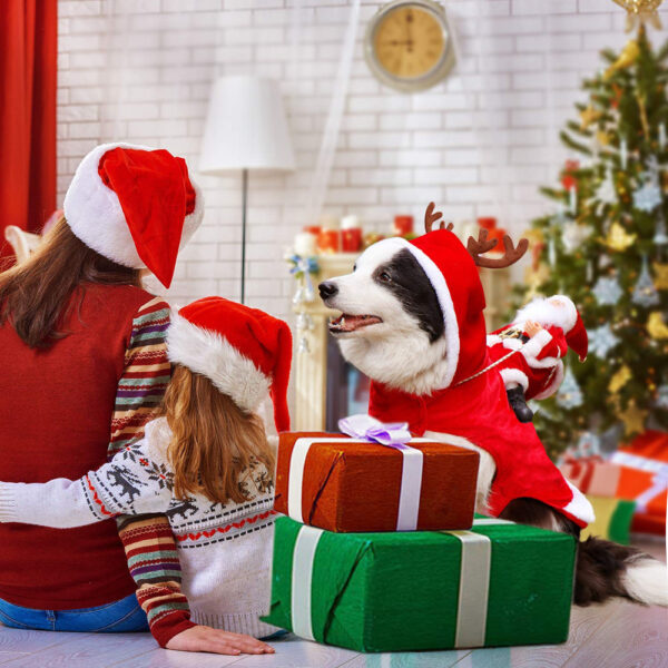 70557202730.jpg Dog Christmas Clothes Santa Claus Riding Deer