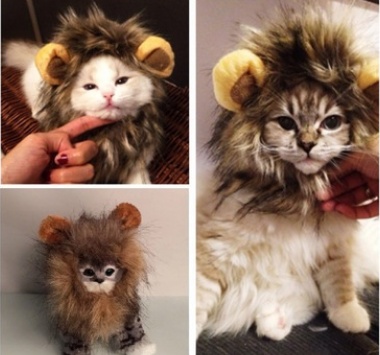 78467074445817.jpg Funny Pet Hat For Small Dogs Cats Hat Emulation Lion Hair Mane Ears Head Cap Scarf Pet Halloween Festival Costume