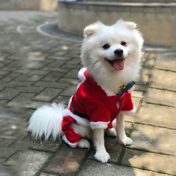 895555155901.jpg Christmas warm clothes for pets
