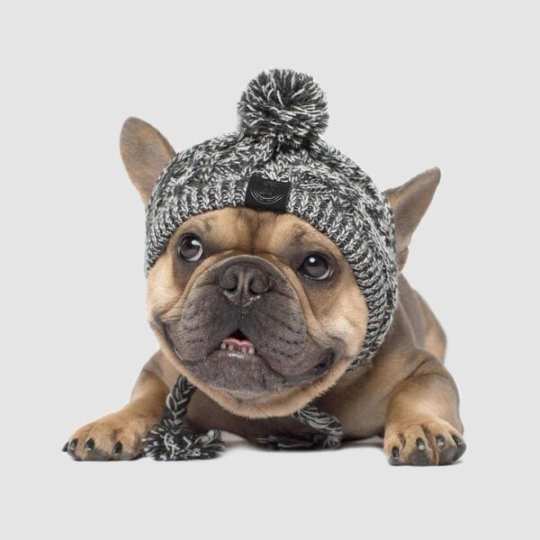 9672607693056.jpg Winter Fashion Dog Hat Windproof Fluffy Knitted Polar Pom Hat