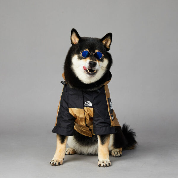 bda283f6-ee3f-40d1-918c-107cfa8fc49f.jpg Dog Large Dog Raincoat Pet Jacket
