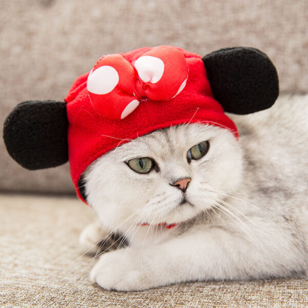 be44fa7d-de0a-4c30-8110-f8706e7675ac.jpg Tang Suit Cat Dress Up Accessories Dog