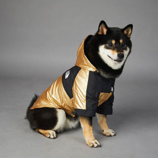 c61986fb-2428-43cb-b3ee-3df61b077fca.jpg Dog Large Dog Raincoat Pet Jacket