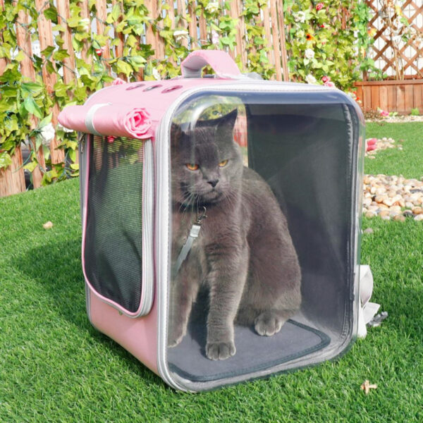 cc1850ce-4ace-4687-845a-49355339f4b5.jpg Pet Cat Carrier Backpack Breathable Cat Travel Outdoor Shoulder Bag For Small Dogs Cats Portable Packaging Carrying Pet Supplies