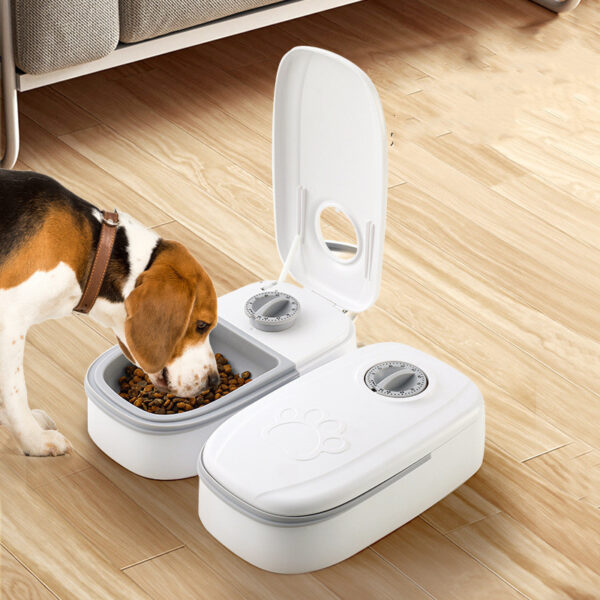 ffbd04d4-f4f5-47ab-92e8-52b331cb69fe.jpg Automatic Pet Feeder Smart Food Dispenser For Cats Dogs Timer Stainless Steel Bowl Auto Dog Cat Pet Feeding Pets Supplies